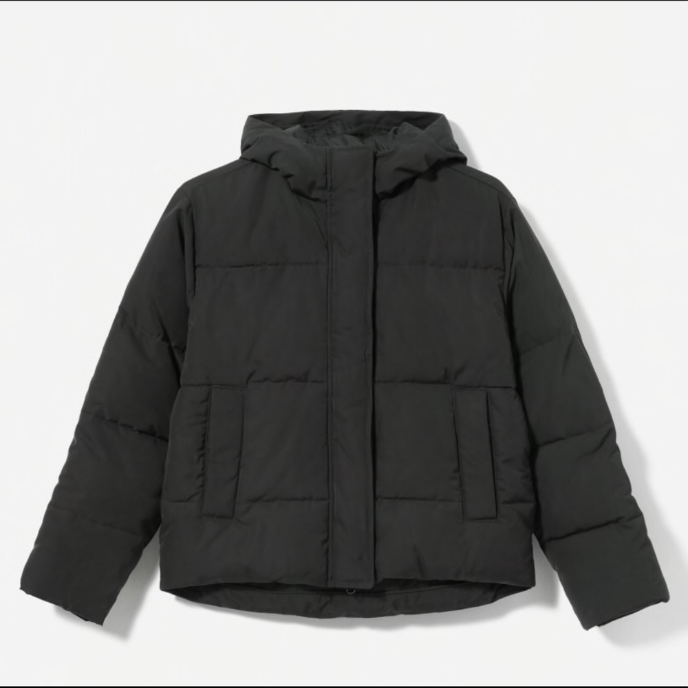 Everlane Black Puffer Jacket